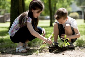 Planting a tree